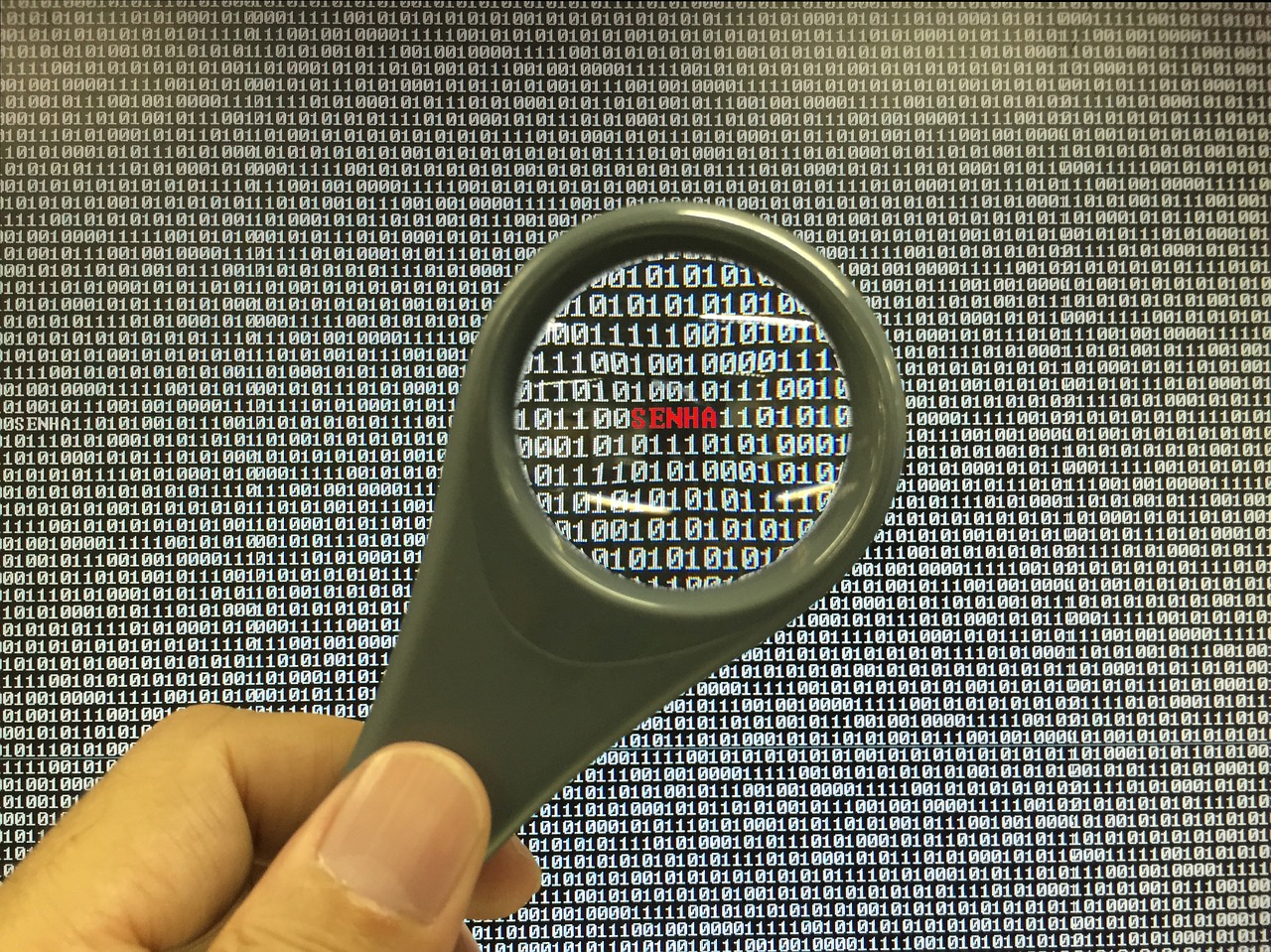 password, security, dump-704252.jpg