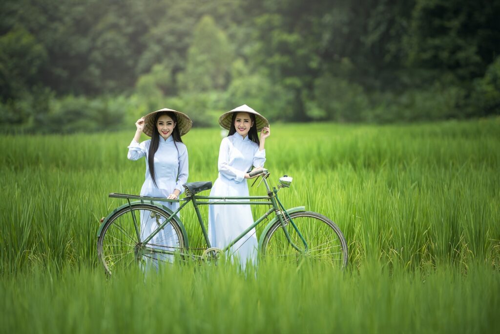 bicycle, female, green-1822418.jpg