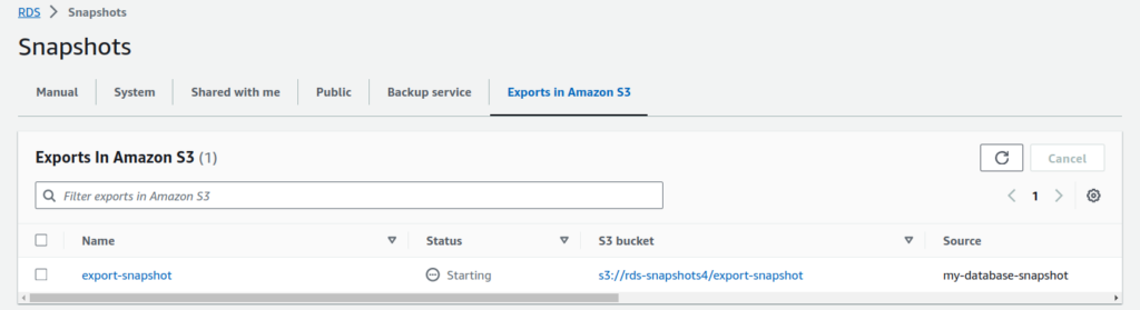 RDS Snapshot