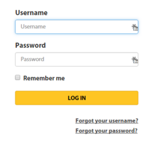 Login form