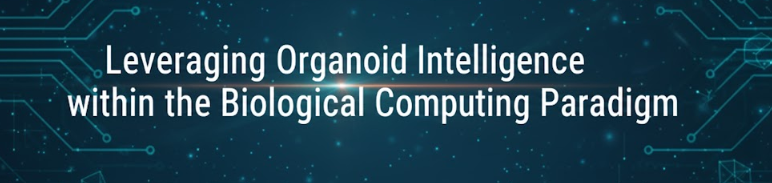 Leveraging Organoid Intelligence within the Biological Computing Paradigm