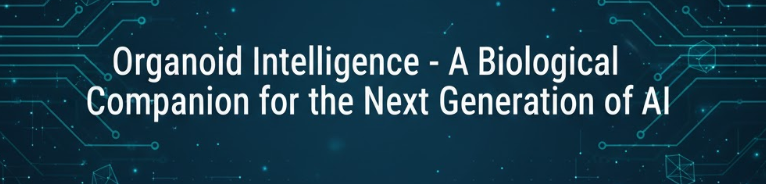 Organoid Intelligence - A Biological Companion for the Next Generation of AI