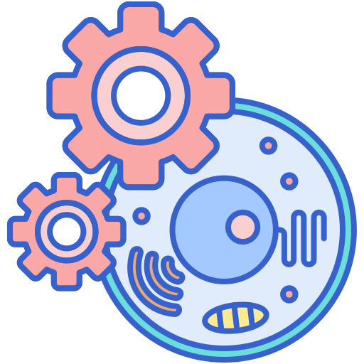 Hybrid Bio–Silicon Co-Processing